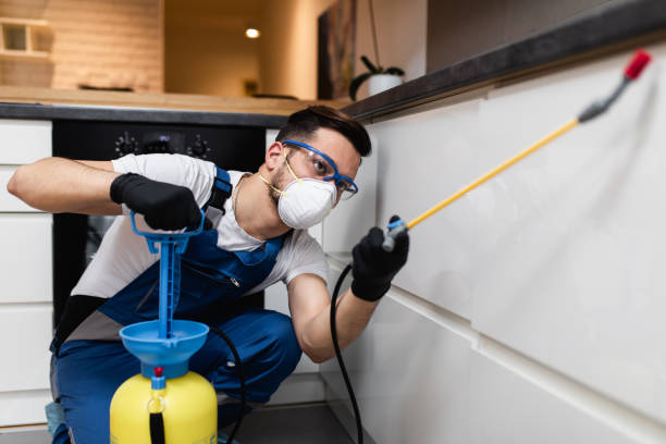 Best Best Pest Control Companies  in Addison, TX