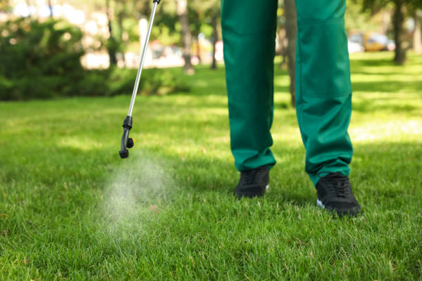 Best Residential Pest Control  in Addison, TX