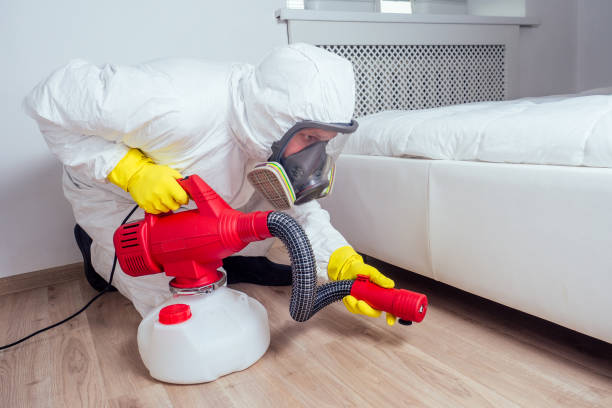 Best Affordable Pest Control Services  in Addison, TX