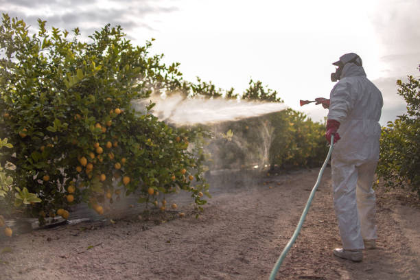 Best Pest Prevention Services  in Addison, TX