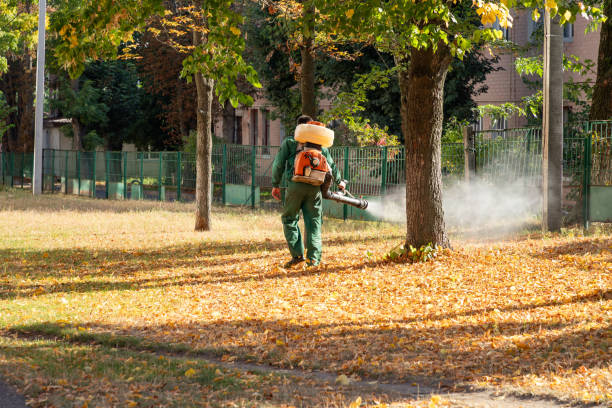 Trusted Addison, TX Pest Control Experts