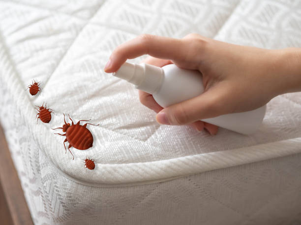 Best Residential Pest Control  in Addison, TX