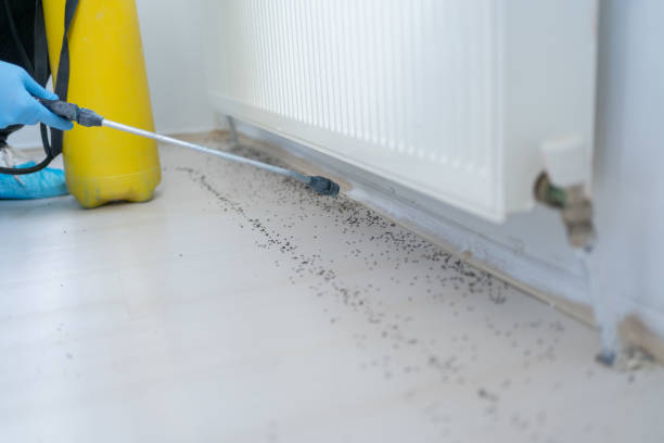 Best Pest Removal Services  in Addison, TX