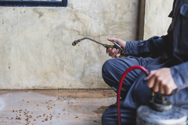 Best Best Pest Control Companies  in Addison, TX